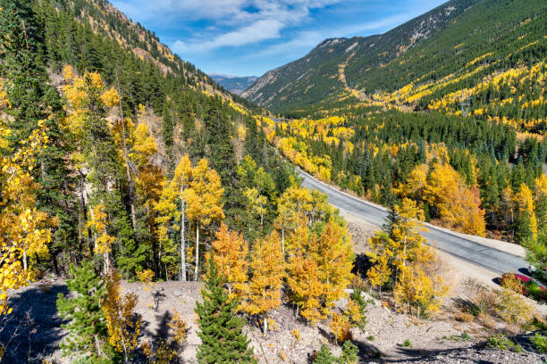 istock Autumn leaf colors in Colorado 1345912605