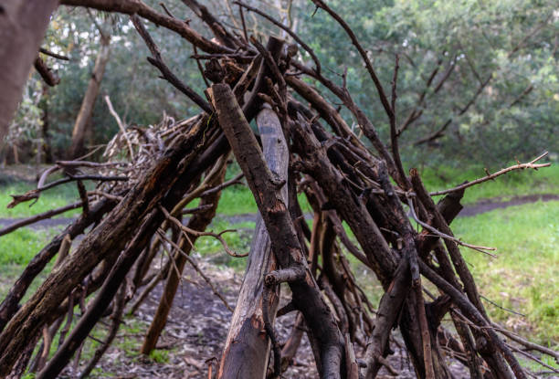 istock A wooden Lean-to type of construction made from sticks 1345912734