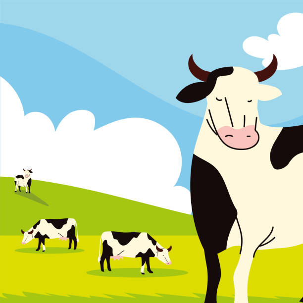 1,280 Herd Cows Illustrations & Clip Art - iStock | Farm