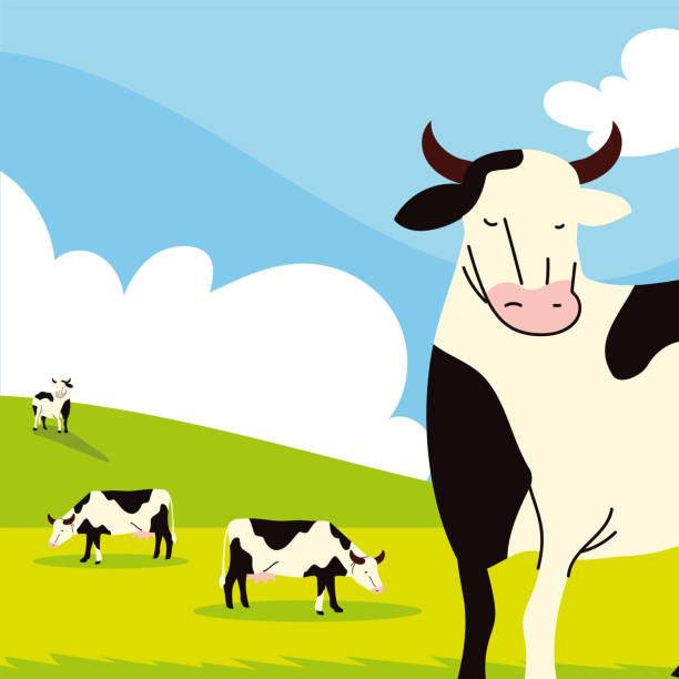 1,280 Herd Cows Illustrations & Clip Art - iStock | Farm 1,280 Herd Cows Illustrations & Clip Art - iStock | Farm