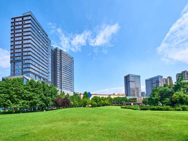 istock Green park developed in front of tall buildings 1345918777