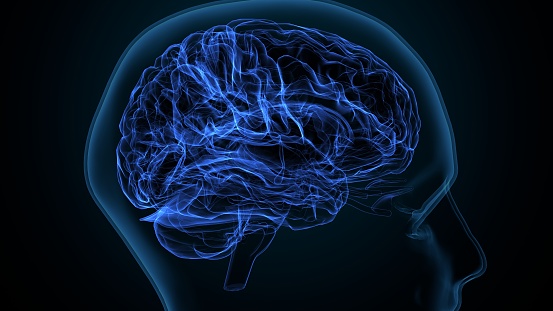 Ilustración 3d de la sustancia blanca cerebral de la anatomía del hemisferio cerebral. photo