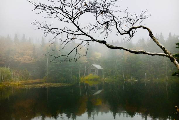 istock Foggy weather on lake 1345921269