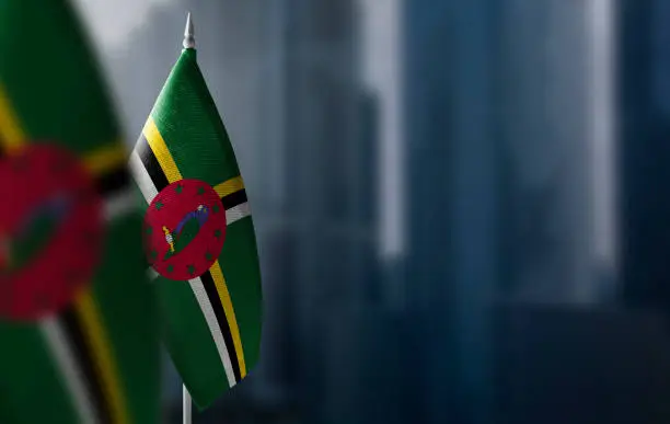Small flags of Dominica on a blurry background of the city.