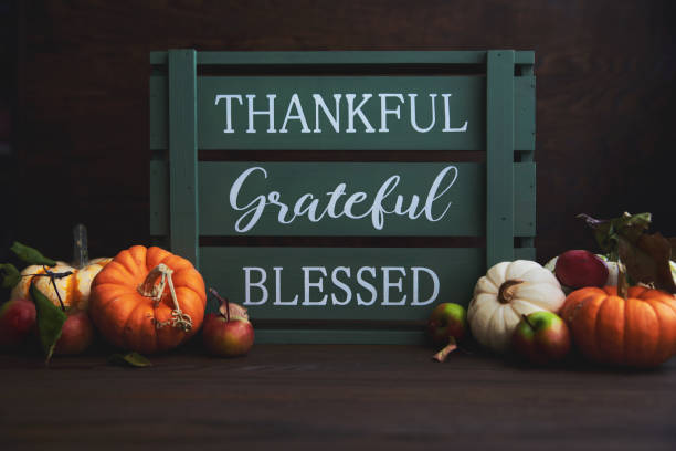 Thanksgiving Fall Still Life with Assorted Miniature Pumpkin and Green Crate with Message