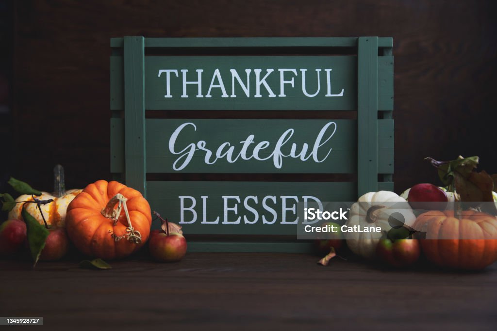 Thanksgiving Fall Still Life with Assorted Miniature Pumpkin and Green Crate with Message Thanksgiving - Holiday Stock Photo