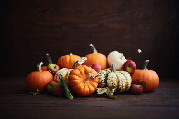 grande coleção de diferentes variedades de abóbora em ambiente rústico para o outono e ação de graças - thanksgiving table setting autumn - fotografias e filmes do acervo