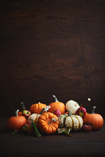Large Collection of Different Pumpkin Varieties in Rustic Setting for Fall and Thanksgiving