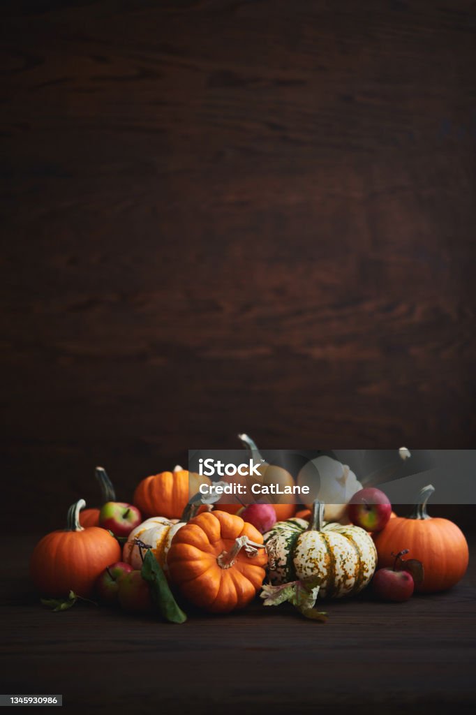 Large Collection of Different Pumpkin Varieties in Rustic Setting for Fall and Thanksgiving Thanksgiving - Holiday Stock Photo