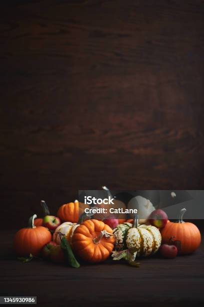 Large Collection Of Different Pumpkin Varieties In Rustic Setting For Fall And Thanksgiving Stock Photo - Download Image Now