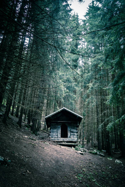 istock Small wooden cabin in a dark fir forest 1345933481
