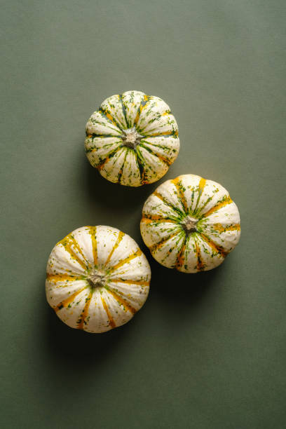 istock Pumpkins on green background top view. Autumn, fall, harvest concept. 1345935379