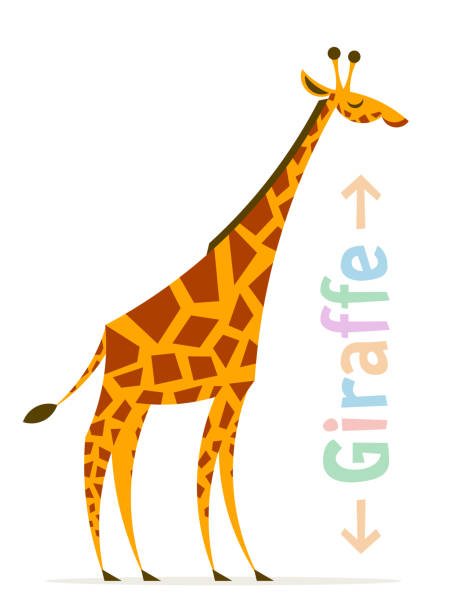 ilustrações, clipart, desenhos animados e ícones de girafa de desenho animado vetor em pé na vista lateral isolada no fundo branco - white background spotted wildlife nature