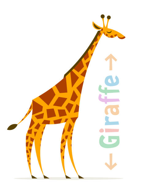 Giraffe Cartoon Stock Photos, Pictures & Royalty-Free Images - iStock Giraffe Cartoon Stock Photos, Pictures & Royalty-Free Images - iStock