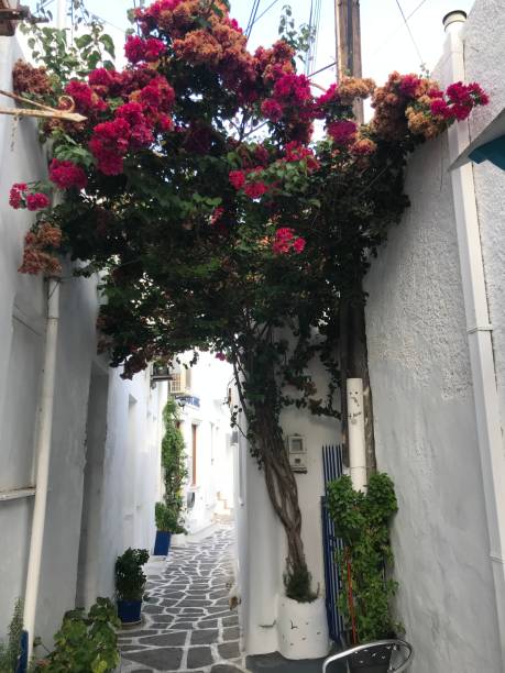 istock Small alley in Paros, Greece 1345936365