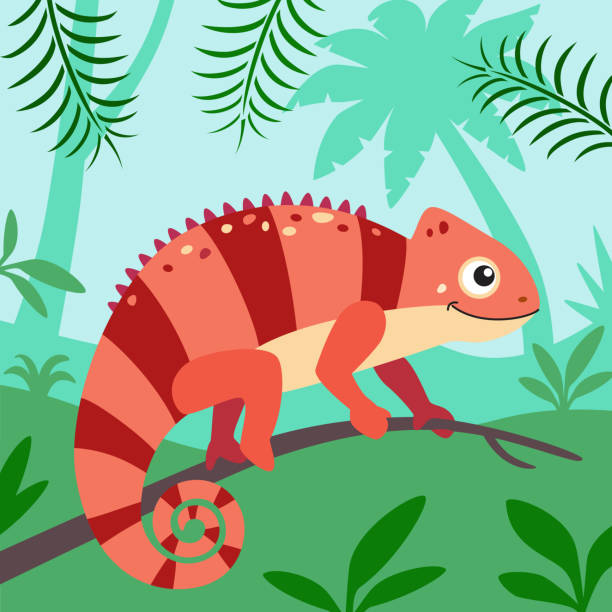 Chameleon lizard on jungle background Vector square illustration of indian chameleon in rainforest chameleon stock illustrations