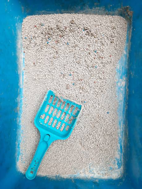 istock Cat litter box (blue) and scoop. 1345942295
