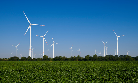 Medium group of wind turbines against blue sky.