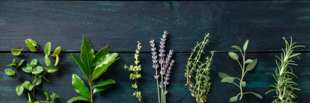 istock Fresh herbs panorama, shot from the top with copy space 1345944339