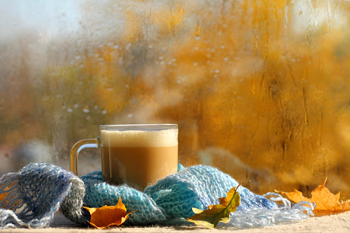 blue knitted scarf and a cup of cappuccino with fallen leaves on the background of a window with drops after the rain