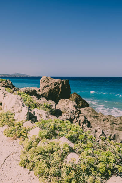 istock Islands Ocean Tropical Beach Landscape. View on water with waves, cliffs, rocks, greens and plants 1345946021