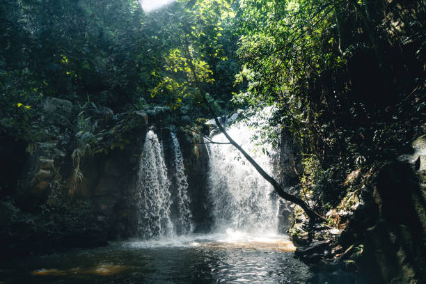 istock Waterfall in a tropical forest in the daytime 1345948921