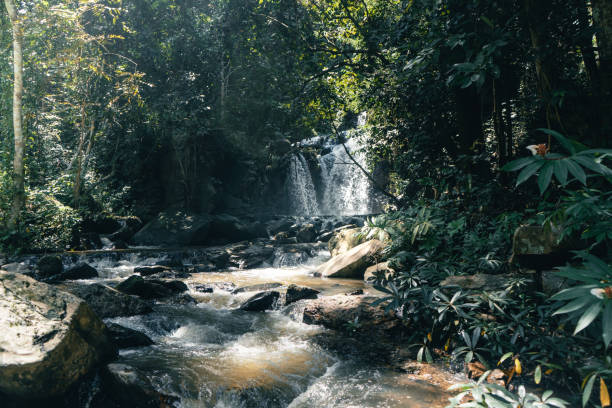istock Waterfall in a tropical forest in the daytime 1345950295
