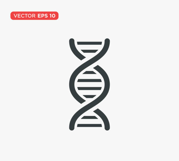 dna helix icon векторная иллюстрация дизайн редактируемый измежаемый размер eps 10 - helix stock illustrations