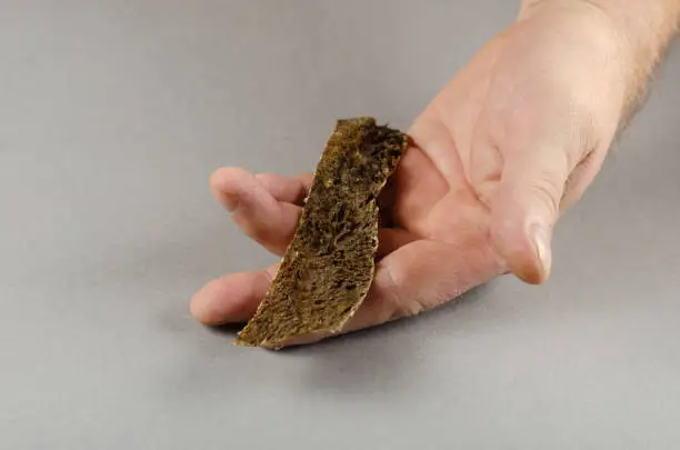 Photo of One man's hand holds the dog treats. A long dried plate of beef