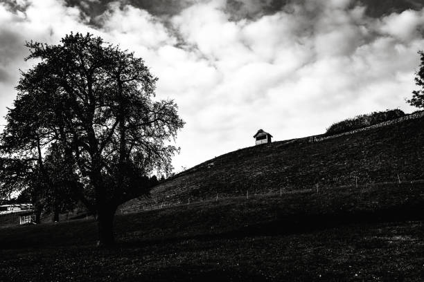 black and white