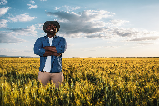 African farmer is standing in his growing wheat field. He is satisfied after successful sowing.
