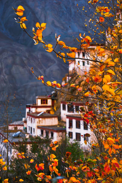 Key monestry It's a beautiful day in middle of autumn/spring season. lahaul and spiti district photos stock pictures, royalty-free photos & images