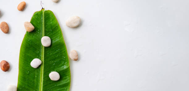 istock Top view pebble stone on banana leaf on white table background 1345963896