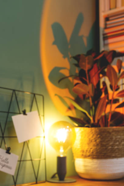 istock Blurred image. Black moodboard with postcards and reminders against green wall with plant pot. 1345964302