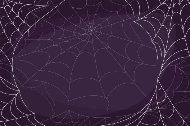 Vector spider web background. Halloween banner decoration Vector cobweb background. Halloween purple decoration for web banner. Creepy design, white spider thread texture, insect trap. halloween background stock illustrations