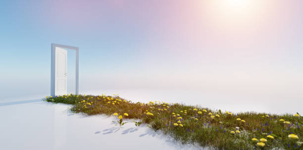 istock Green grass way to open door on sunny sky. 1345970471