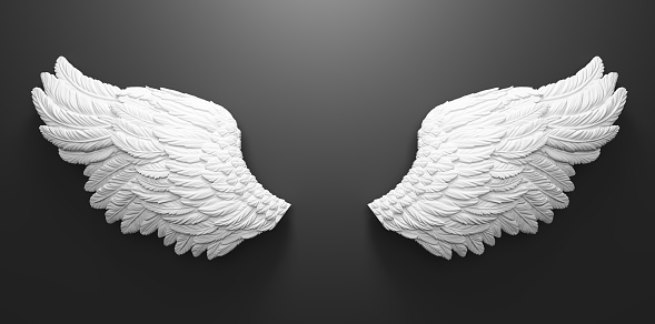 White angel wings on black wall. Template for photography