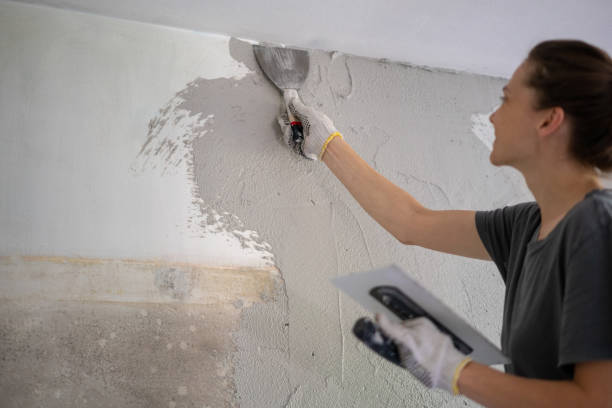 こてを使用して壁に石膏を適用することによって家の修理を行う若い女性 - painting home improvement house painter ストックフォトと画像