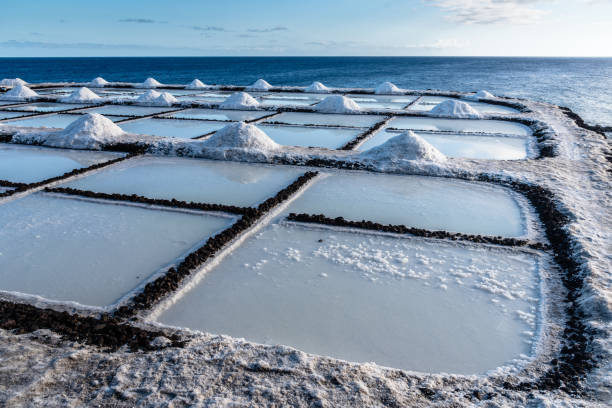 istock Salt extraction in salinas of Fuencaliente, La Palma. 1345972687