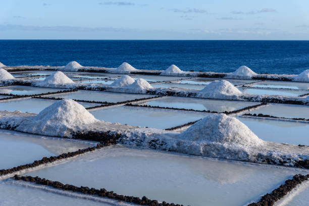 istock Salt extraction in salinas of Fuencaliente, La Palma. 1345972689