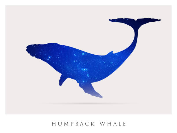 Whale silhouette Abstract animal shape. Night starry sky silhouette sky nobody cream coloured stock illustrations