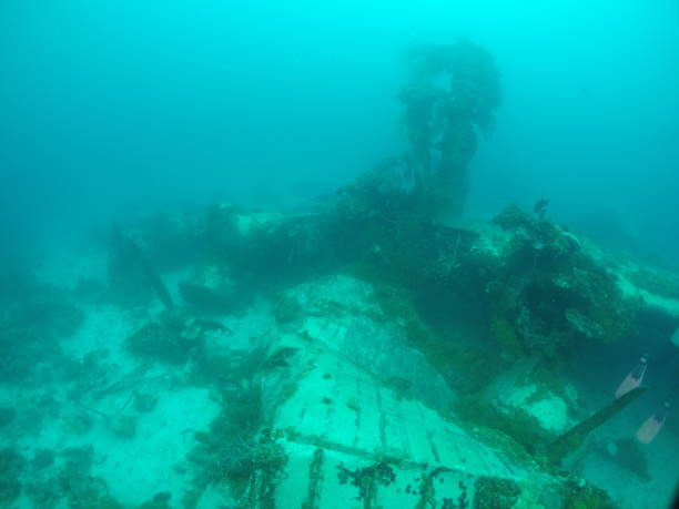 istock Japanese navy airplane Emily seaplane in WW2 1345977437