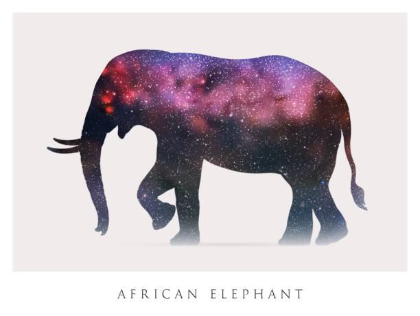 Elephant silhouette Abstract animal shape. Night starry sky elephant art stock illustrations
