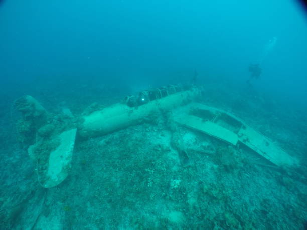 istock Japanese navy airplane Myrt 