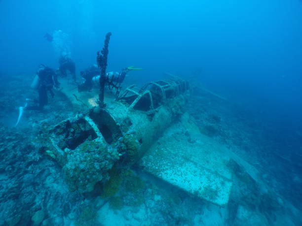 istock Japanese navy airplane Myrt 
