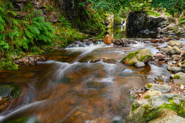 istock College Burn flows from the Cheviot Hills near Hethpool 1345978968