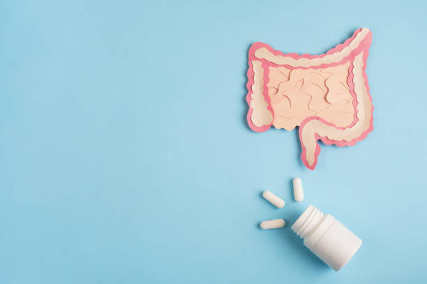 istock Healthy digestion, probiotics and prebiotics for microbiome intestine 1345980069