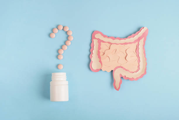 istock Healthy intestine concept. 1345980070