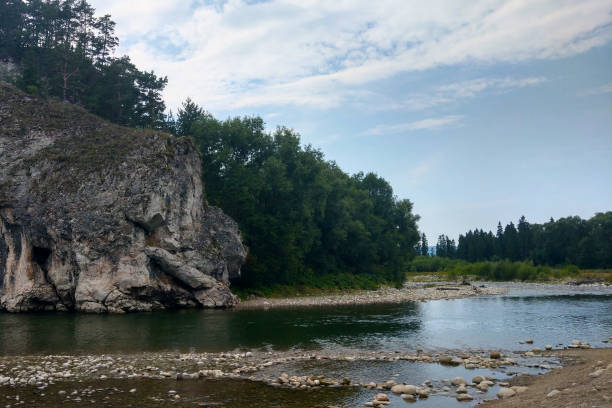 istock A small mountain river in the forest against the blue sky. 1345981920