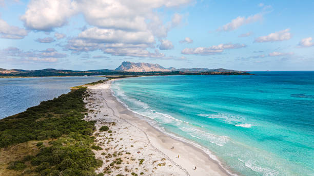 amous la cinta plaża z widokiem na wyspę tavolara - romance tropical climate ideas travel destinations zdjęcia i obrazy z banku zdjęć